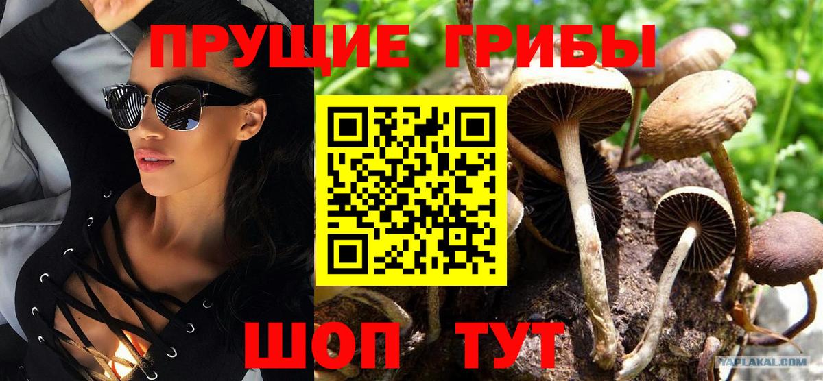 Псилоцибиновые грибы ЛСД  Вход с VPN  Жуковский 